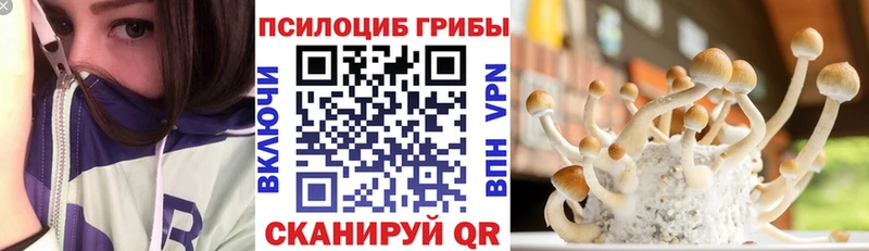 Галлюциногенные грибы ЛСД  Купить  Алейск